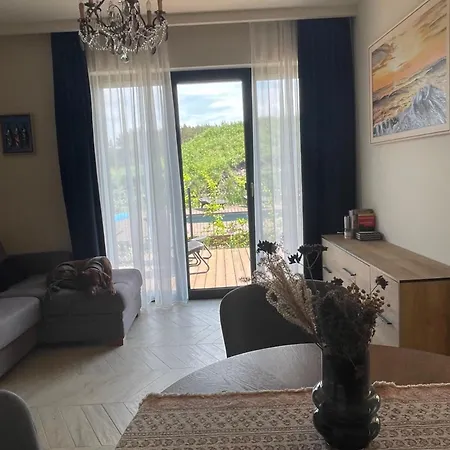 Apartamentai Monciskese Su Sildomu Baseinu Ir Terasa Palanga